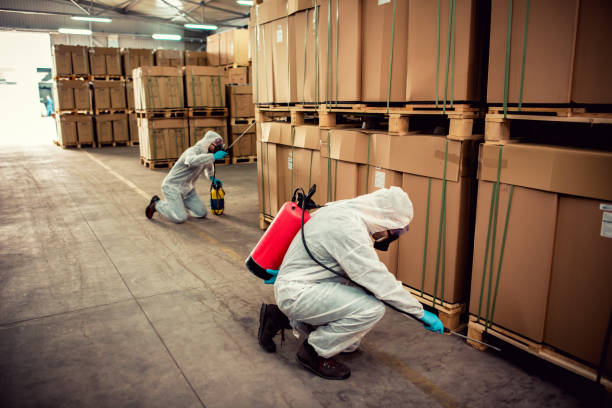 Reliable Vance, AL Pest Control Solutions