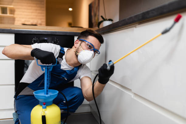 Best Mosquito Control Services  in Vance, AL