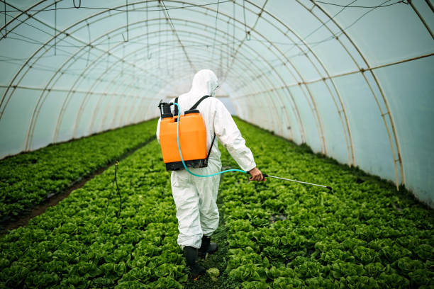 Pest Control Cost in Vance, AL
