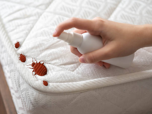 Best Best Pest Control Companies  in Vance, AL