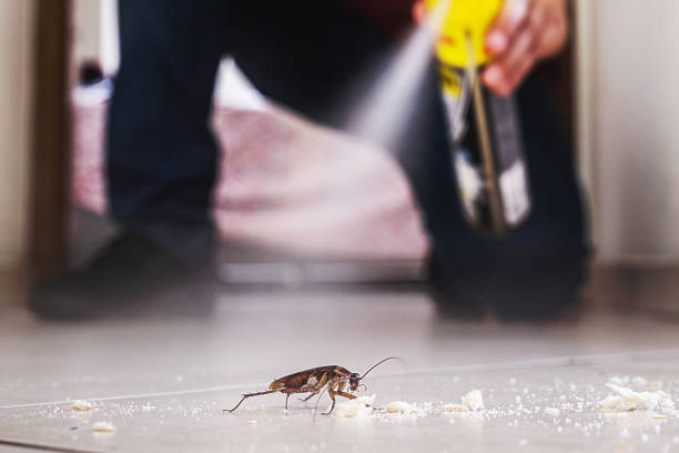 Reliable Vance, AL Pest Control Solutions