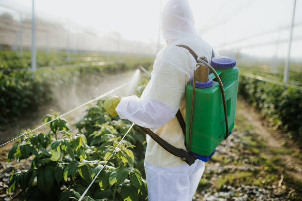 Best Insect Control  in Vance, AL